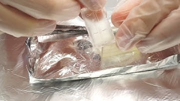 iGem 2016 Microfluidic chip instruction video