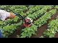 निराई, गुड़ाइ की मशीन/Mini Power Tiller/Cultivator/Power weeder.