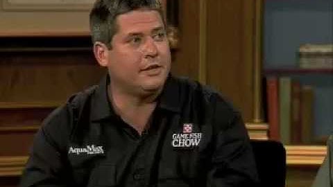 Will channel catfish reproduce in a 1 acre pond with others?