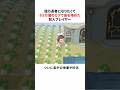 億万長者になりたくて６５万個のカブで島を埋めた狂人プレイヤー