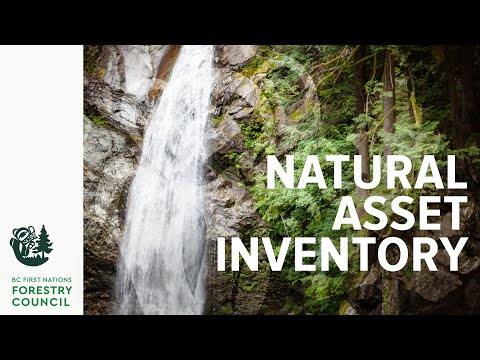 What is a Natural Asset Inventory? | Leq’á:mel First Nation