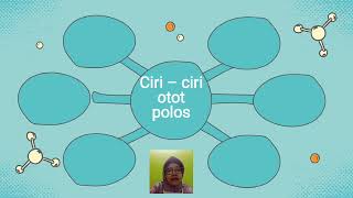 Muatan ipa (otot pada manusia ...