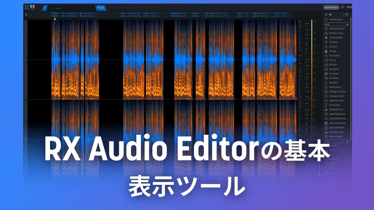 Audio Rx RX Audio Editorの基本 表示ツール - YouTube