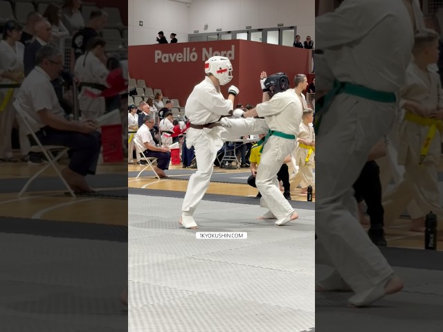 WKB Spanish Open 2026 #kyokushin #shinkyokushin #karate #1kyokushin #一極真 #極真会館