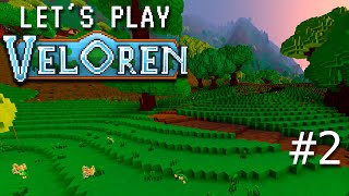 Let's Play Veloren, #2