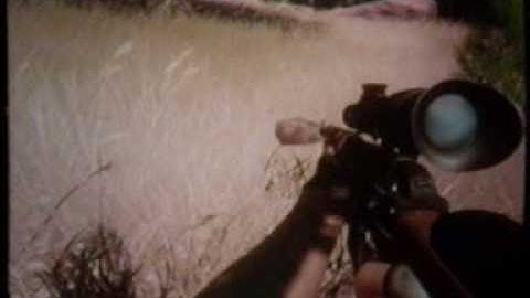 Zebra hunting - Far cry 2.wmv