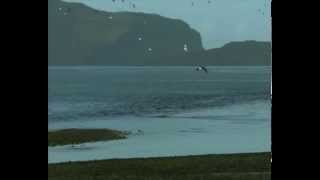 Runrig - News From Heaven - Lyrics