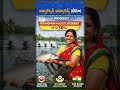 Aquaculture Insurance: Protect Your Fish Farm with Government Support