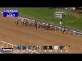 Race 5  - Tabloid