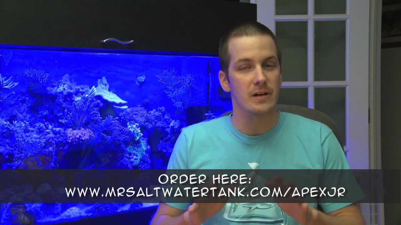 apex jr mustangs Mr. Saltwater Tank Exclusive Apex Jr. Offer