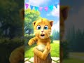 talking ginger gameplay funny cat video talkingtomversion 