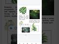 Digital Journal Series #1 – Greenery &amp; Nature 🌿 #digitaljournal #digitaljournaling