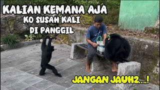 Where have you been…?