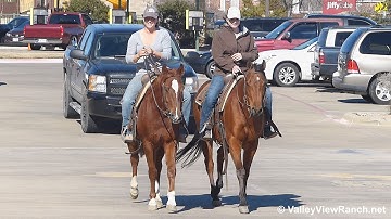 Topsail  Banjo and Autumn Tuesday - riding in town - Valley View Ranch