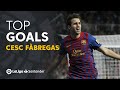 TOP 25 GOALS Cesc Fàbregas en LaLiga Santander