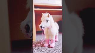 Pyare Aur Khubsurat Ghoro Ke Bache / #HorseLovers #CuteFoals #AnimalBeauty