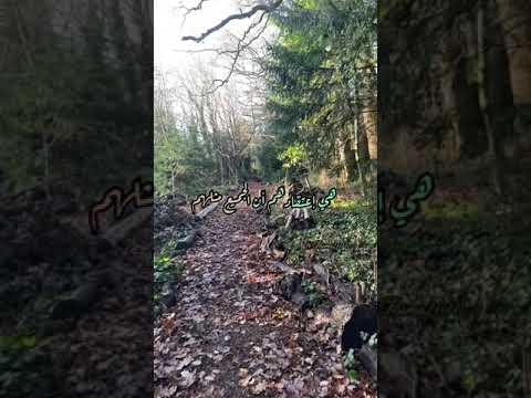 مصطفى الاغا تقول الحياة والتجارب