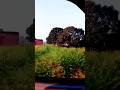 Short video #shortsfeed #song #trandingshorts #tranding #viralvideo #shortvideo