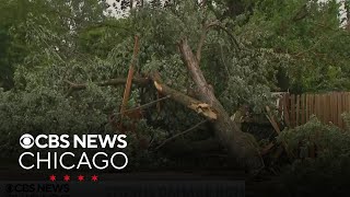 Communities across Illinois, Indiana cleaning up after damaging storms on Monday