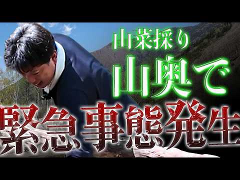 【絶望】楽しくゴールデンウィークの木曽駒冷水公園を紹介するはずが…【井口智明】【井口智明】