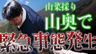 【絶望】楽しくゴールデンウィークの木曽駒冷水公園を紹介するはずが…【井口智明】【井口智明】