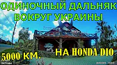 Жажда Свободы