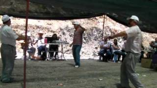 Salamut 2011