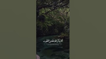 تلاوة جميلة لا تُوصف "الَّذينَ آمَنوا وَتَطمَئِنُّ قُلوبُهُم" لفضيلة الشيخ أ.د. ماهر المعيقلي‬⁩