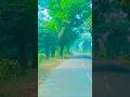 #nature #trip #tour #selfdriving #life #reels #shorts #trending
