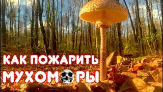 Как пожарить мухоморы / How to cook fly agarics. Ukraine