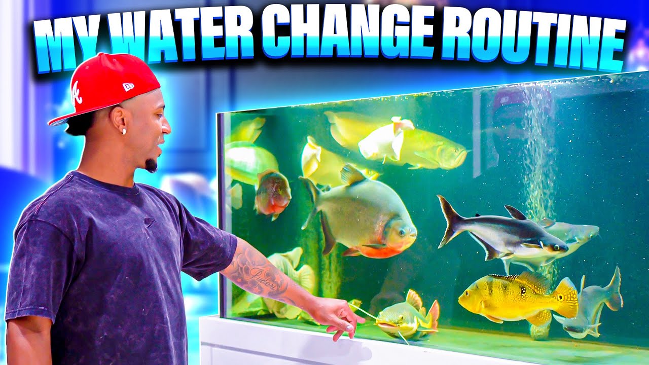 Ozzie's Water Change Routine for All His Aquariums!