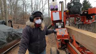 Black Walnut Marathon Part 2