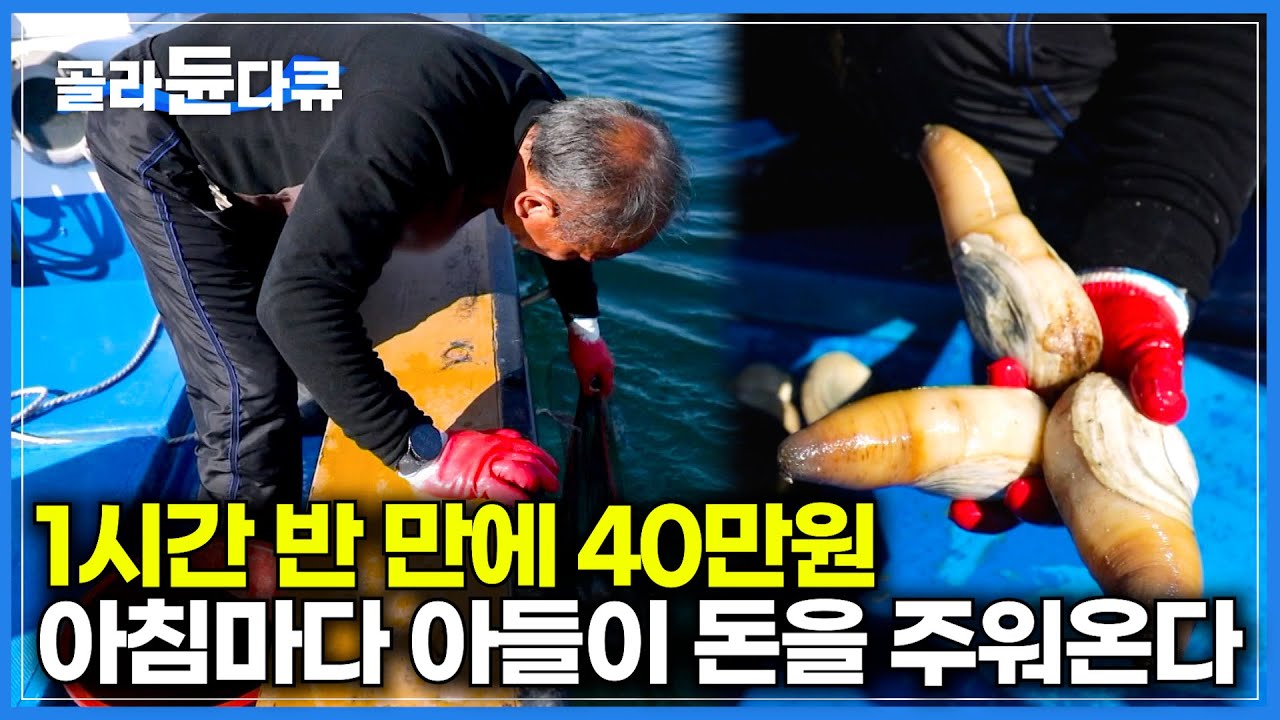 매일 아침 돈 주우러 깊은 바닷 속으로 들어가는 아들｜1시간 30분 만에 40만 원, 비싼 조개만 주워오는 아들｜한국기행｜#골라듄다큐