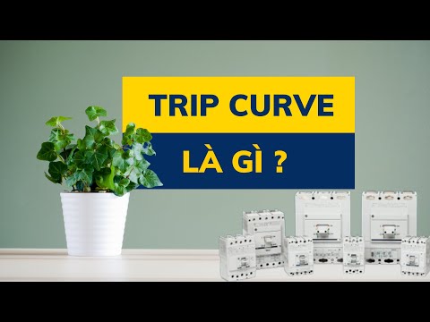 Video Trip Curve (đường đặc tuyến) là gì ? - youtube