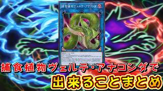 遊戯王マスターデュエル】捕食植物ヴェルテ・アナコンダで出来ること