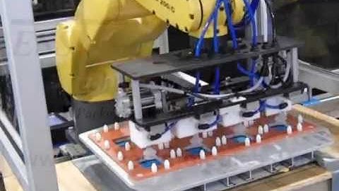 Robotic Loading of a Blister Packaging Machine