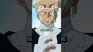 Turns Out Zoro Isnt Actually Dumb