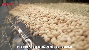 Groundnut Roasting Cooling Machine Test Video For Sale 0086 13015518550