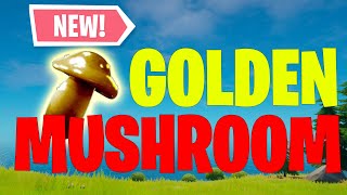 [EASIEST METHOD]  Get The SECRET GOLDEN MUSHROOM in FORTNITE Creative!