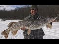Big Wisconsin Pike While Ice Fishing Tip Ups!
