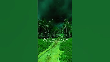 سورة الزمر _ ياسر الدوسري الأية 30 #الزمر30 #القرآن #foryou #viral #fyp