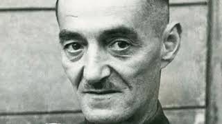 Inside The Dirlewanger Brigade An Assault Engineers Story Of The Warsaw Uprising