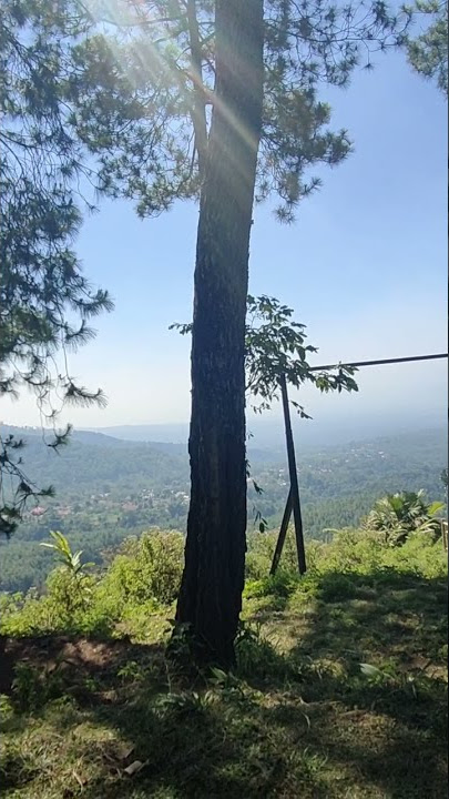 Pesona cafe outdoor di atas bukit || story wa