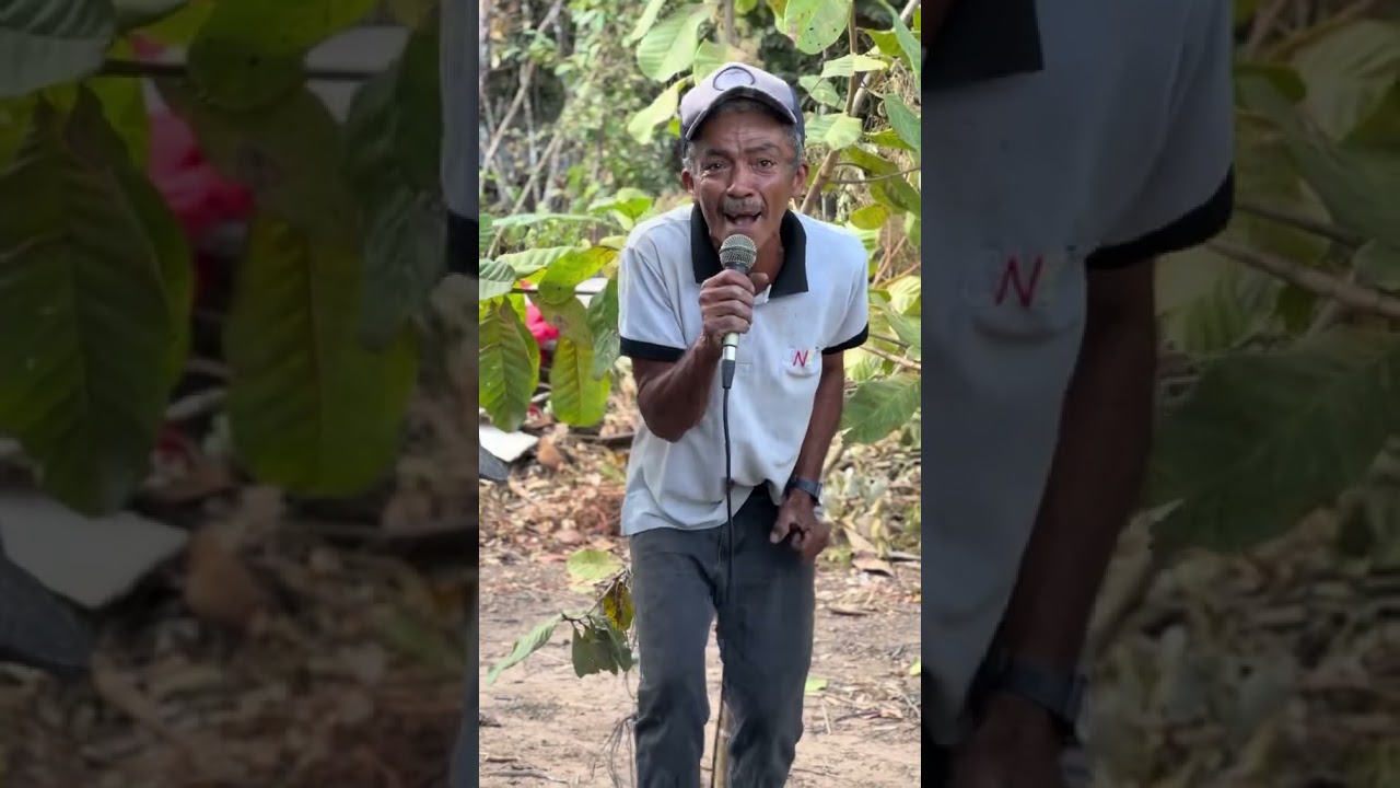 No passinho da Mary Jayne