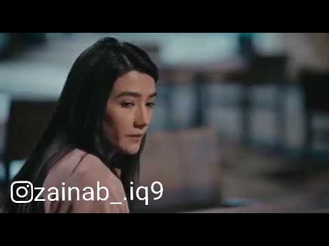 شاب جيلاني وأميرة واحشني