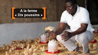 Burkina Faso : A la ferme « Dix poussins »