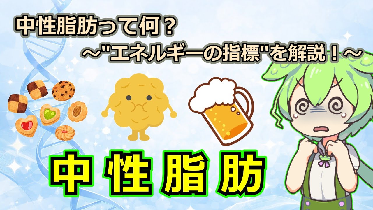 【ゆっくり解説】中性脂肪って何？～お酒と食事が影響する