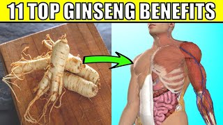 Download Lagu 11 AMAZING Ginseng Health Benefits and Uses | How You Can Add Ginseng To Your Diet MP3