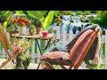 Summer Day at Waterfall Coffee Shop Ambience with Nature Sounds, Bossa Nova Jazz Cafe Shop ASMR
