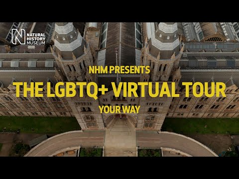 The Natural History